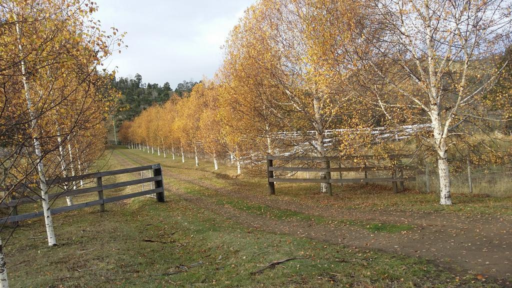 Отель Scout Hall National Park Экстерьер фото